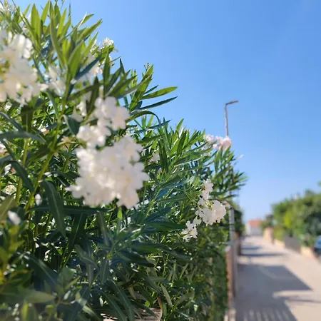 Sramek Posesi