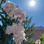 Appartamento Sramek Posesi Medolino