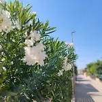 Sramek Posesi