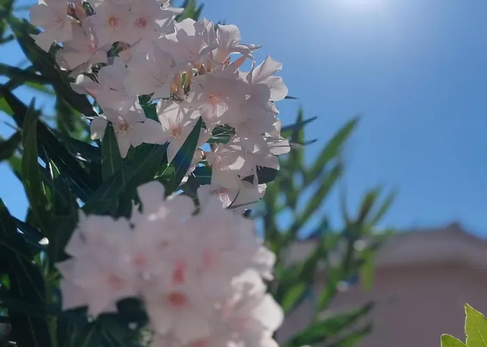 Appartement Sramek Posesi Medulin